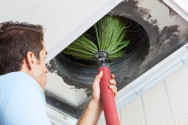 Best Ductwork Cleaning Services  in Amador Pines, CA