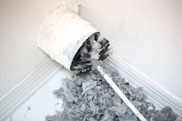 Best Air Duct Cleaning Near Me  in Amador Pines, CA